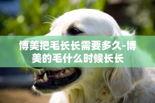 博美把毛長長需要多久-博美的毛什么時候長長