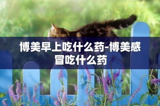 博美早上吃什么藥-博美感冒吃什么藥