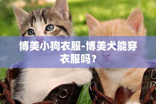博美小狗衣服-博美犬能穿衣服嗎？