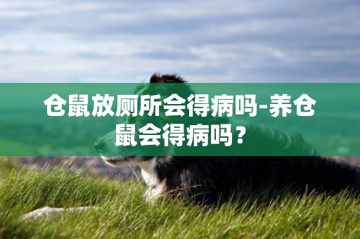 倉鼠放廁所會得病嗎-養倉鼠會得病嗎？