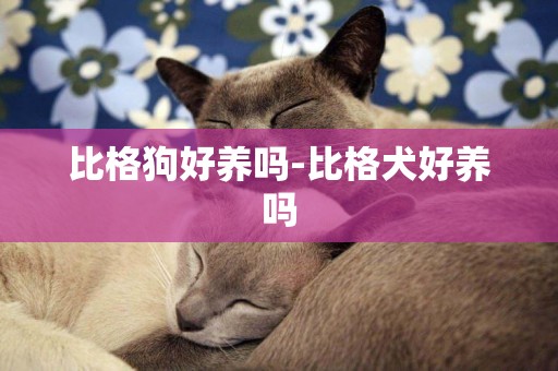 比格狗好養嗎-比格犬好養嗎