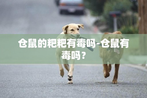 倉鼠的粑粑有毒嗎-倉鼠有毒嗎？