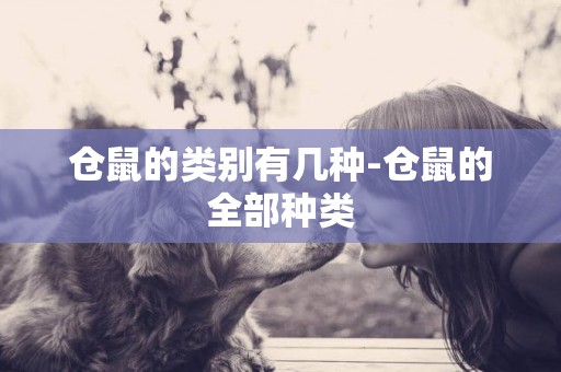 倉鼠的類別有幾種-倉鼠的全部種類