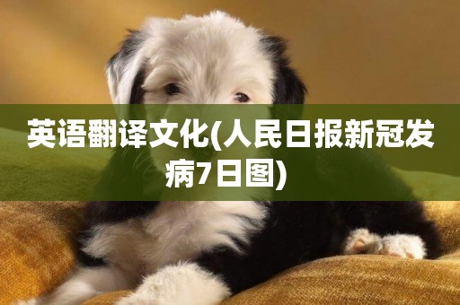 英語翻譯文化(人民日報新冠發病7日圖) 