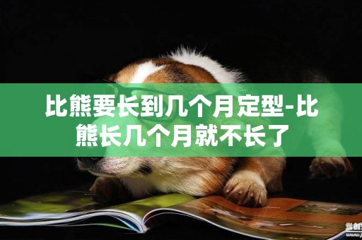 比熊要長到幾個月定型-比熊長幾個月就不長了