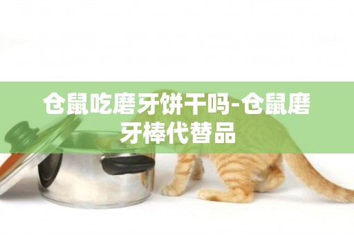 倉鼠吃磨牙餅干嗎-倉鼠磨牙棒代替品