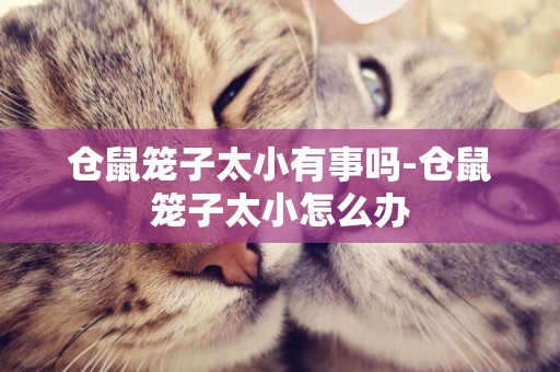 倉鼠籠子太小有事嗎-倉鼠籠子太小怎么辦