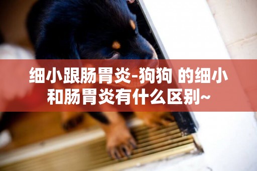 細小跟腸胃炎-狗狗 的細小和腸胃炎有什么區別~