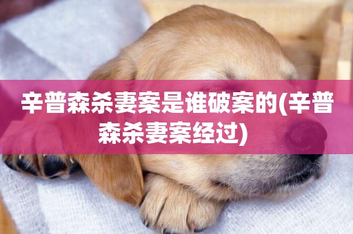 辛普森殺妻案是誰破案的(辛普森殺妻案經過) 