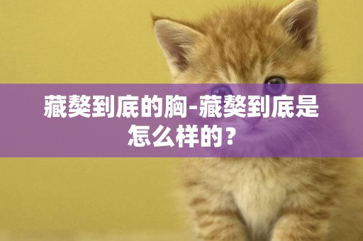 藏獒到底的胸-藏獒到底是怎么樣的？