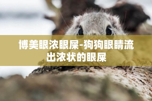 博美眼濃眼屎-狗狗眼睛流出濃狀的眼屎