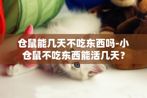 倉鼠能幾天不吃東西嗎-小倉鼠不吃東西能活幾天？