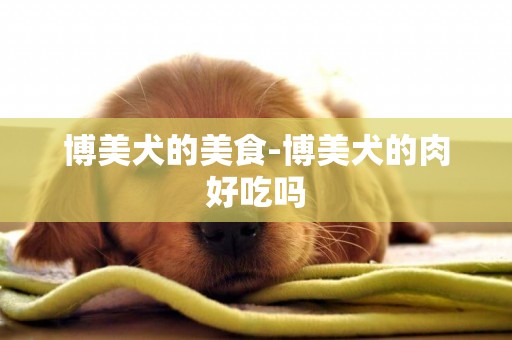 博美犬的美食-博美犬的肉好吃嗎