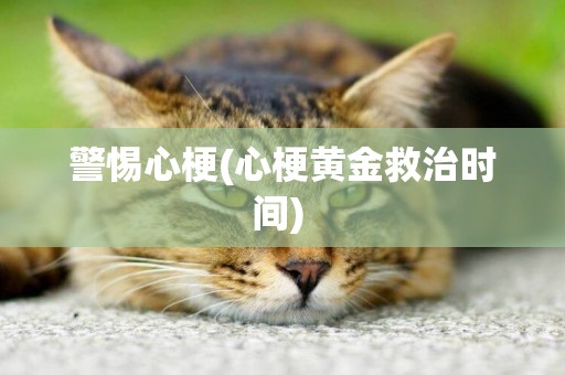 警惕心梗(心梗黃金救治時間) 