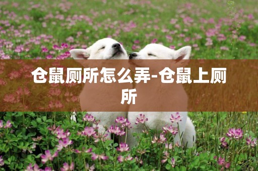 倉鼠廁所怎么弄-倉鼠上廁所
