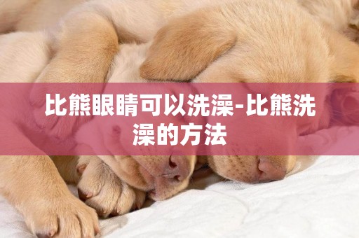 比熊眼睛可以洗澡-比熊洗澡的方法
