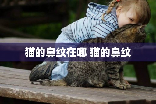 貓的鼻紋在哪 貓的鼻紋