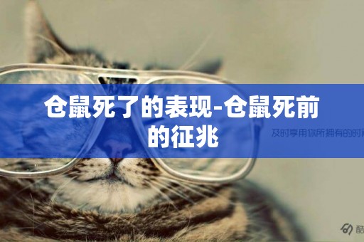 倉鼠死了的表現-倉鼠死前的征兆