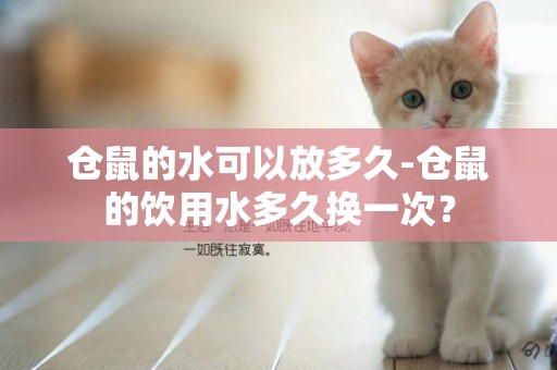 倉鼠的水可以放多久-倉鼠的飲用水多久換一次？