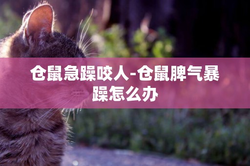 倉鼠急躁咬人-倉鼠脾氣暴躁怎么辦