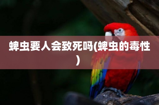 蜱蟲要人會致死嗎(蜱蟲的毒性) 
