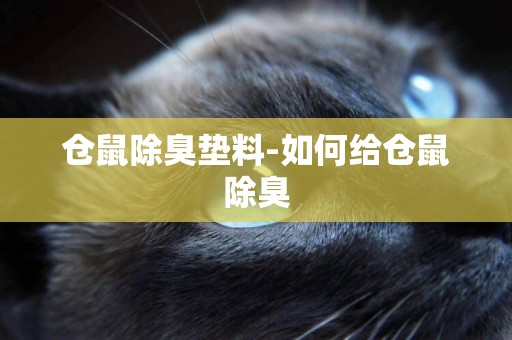 倉鼠除臭墊料-如何給倉鼠除臭