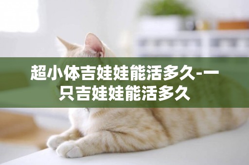 超小體吉娃娃能活多久-一只吉娃娃能活多久