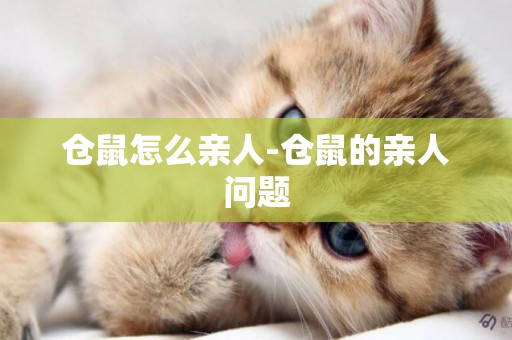 倉鼠怎么親人-倉鼠的親人問題