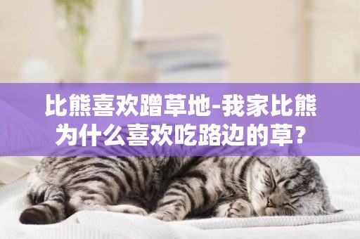 比熊喜歡蹭草地-我家比熊為什么喜歡吃路邊的草？