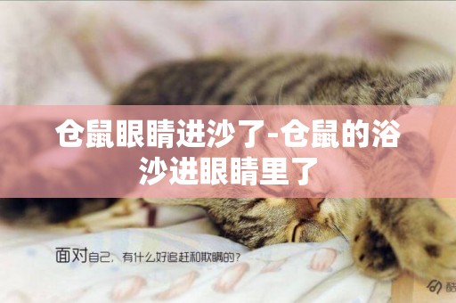 倉鼠眼睛進沙了-倉鼠的浴沙進眼睛里了
