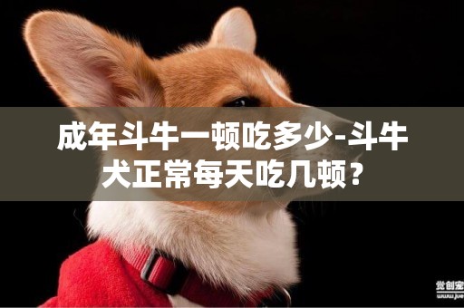 成年斗牛一頓吃多少-斗牛犬正常每天吃幾頓？
