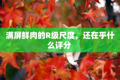 滿屏鮮肉的R級尺度，還在乎什么評分 