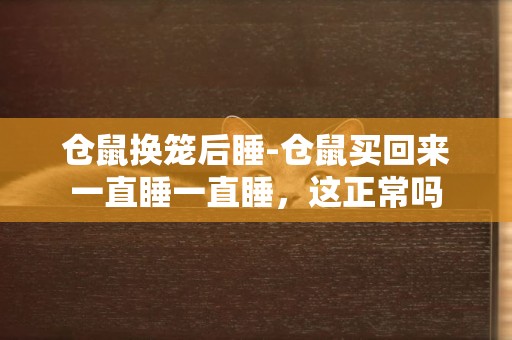 倉鼠換籠后睡-倉鼠買回來一直睡一直睡，這正常嗎