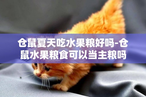 倉鼠夏天吃水果糧好嗎-倉鼠水果糧食可以當主糧嗎