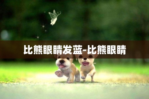 比熊眼睛發藍-比熊眼睛