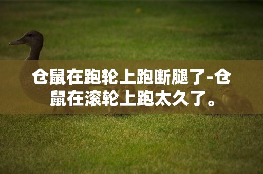 倉鼠在跑輪上跑斷腿了-倉鼠在滾輪上跑太久了。