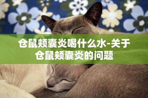 倉鼠頰囊炎喝什么水-關于倉鼠頰囊炎的問題