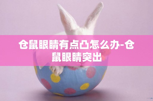 倉鼠眼睛有點凸怎么辦-倉鼠眼睛突出
