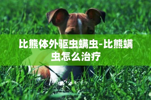 比熊體外驅蟲螨蟲-比熊螨蟲怎么治療