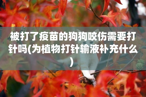 被打了疫苗的狗狗咬傷需要打針嗎(為植物打針輸液補充什么) 