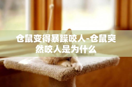 倉鼠變得暴躁咬人-倉鼠突然咬人是為什么