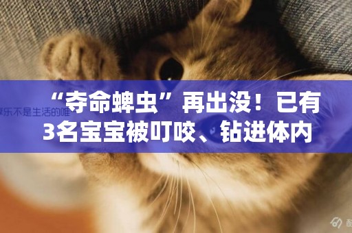 “奪命蜱蟲”再出沒！已有3名寶寶被叮咬、鉆進體內！河南醫生：嚴重時可致死 