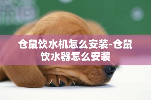 倉鼠飲水機怎么安裝-倉鼠飲水器怎么安裝