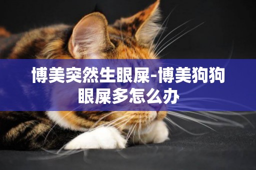 博美突然生眼屎-博美狗狗眼屎多怎么辦