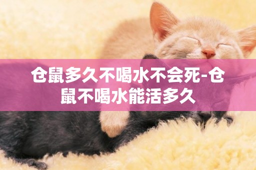 倉鼠多久不喝水不會死-倉鼠不喝水能活多久