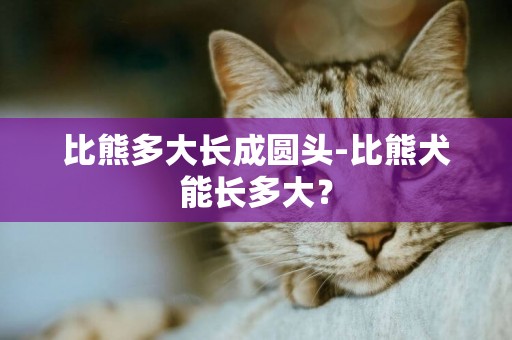 比熊多大長成圓頭-比熊犬能長多大？