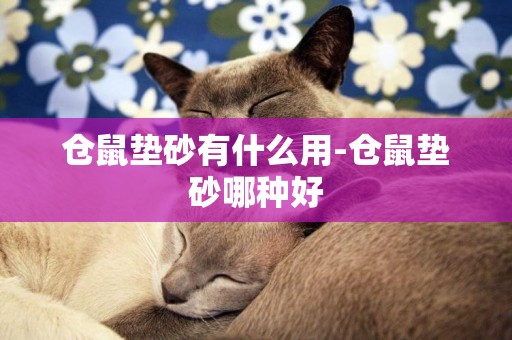 倉鼠墊砂有什么用-倉鼠墊砂哪種好