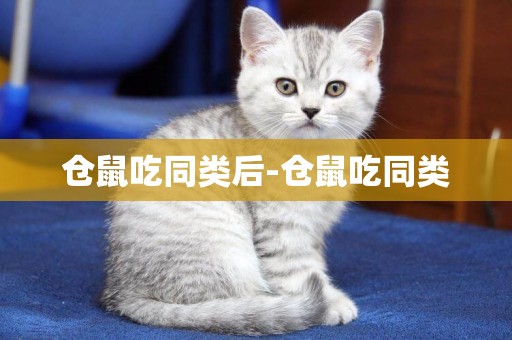 倉鼠吃同類后-倉鼠吃同類