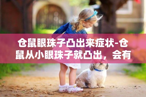 倉鼠眼珠子凸出來癥狀-倉鼠從小眼珠子就凸出，會有事嗎