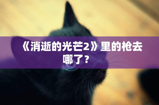 《消逝的光芒2》里的槍去哪了？ 